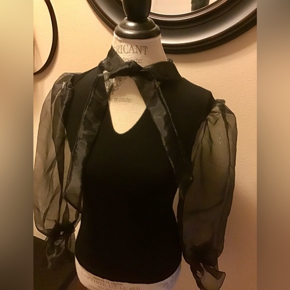 BEAUTIFUL TINY WILLOW TOP. SHEER SLEEVES W/ELASTIC CUFFS. EXCELLENT CONDITION - Picture 2 of 6